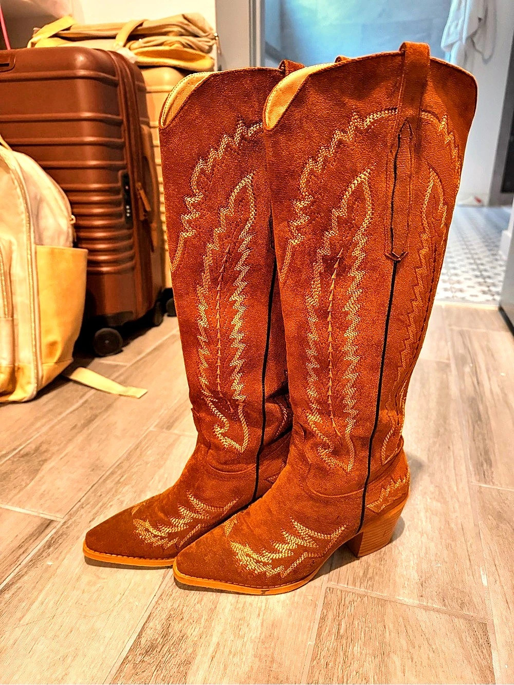 Embroidered Western Knee Boots in Brown